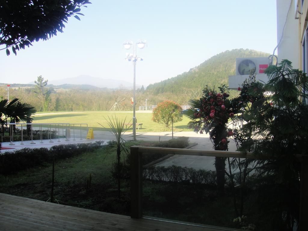 Geomunoreum Hostel Jeju Exterior photo