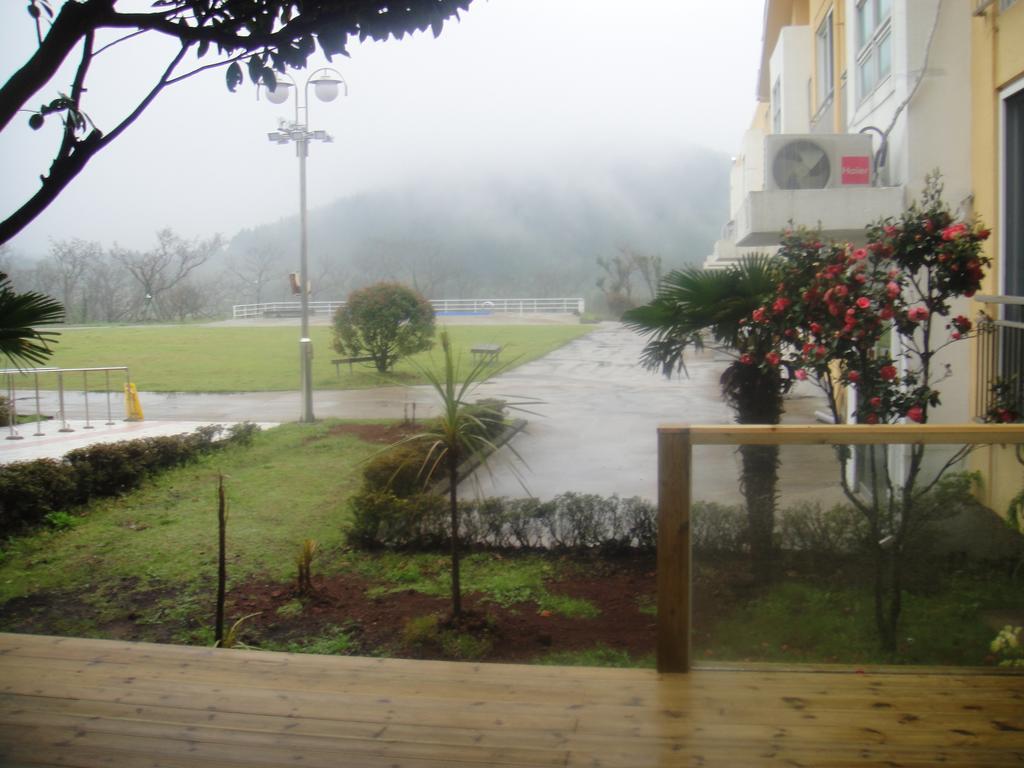 Geomunoreum Hostel Jeju Exterior photo